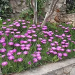 Mandolina - Hisa Na Samem S Pogledom Na Morje Apartmán *
